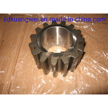 Truck Parts for Shaanxi Tonly (Tongli)